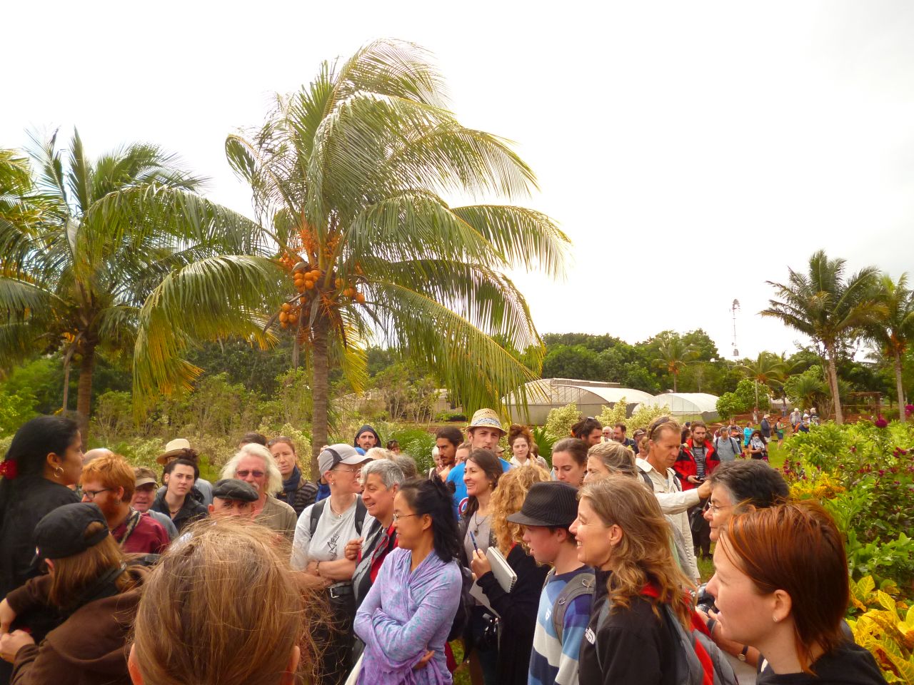 International Permaculture Convergence, Cuba