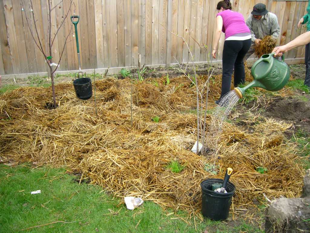 sheet mulched garden bed