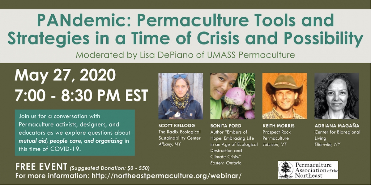 PANdemic Webinar: Permaculture Tools and Strategies in a Time of Crisis and Possibility