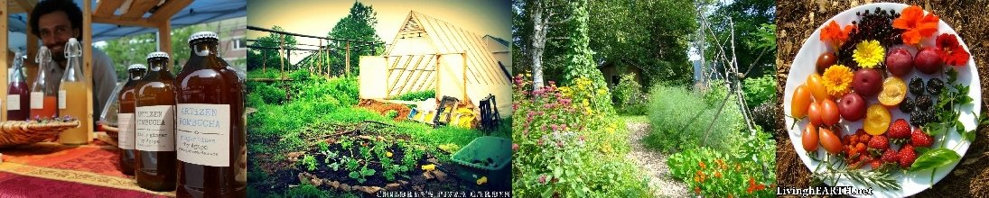 Perth permaculture tour, Agape gardens, Bonita & Sébastien's garden