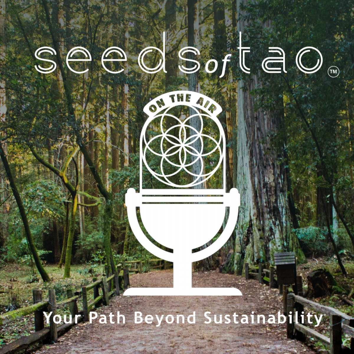 Seeds of Tao Podcast