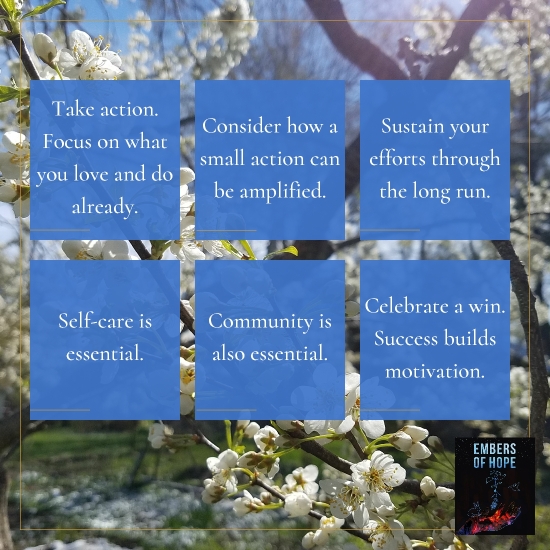 6 Tips to Help You Take Action for the Climate