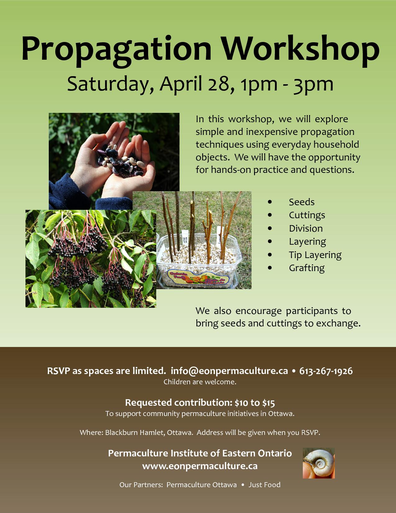 propagation workshop, event poster