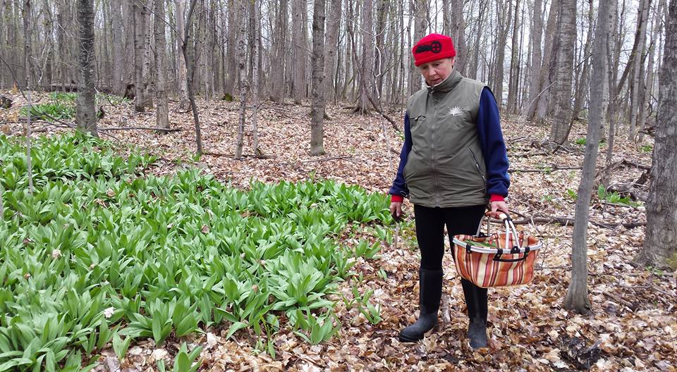 Mireille harvesting ramps