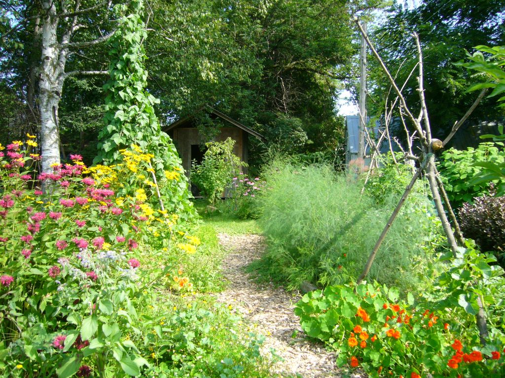 edible forest garden