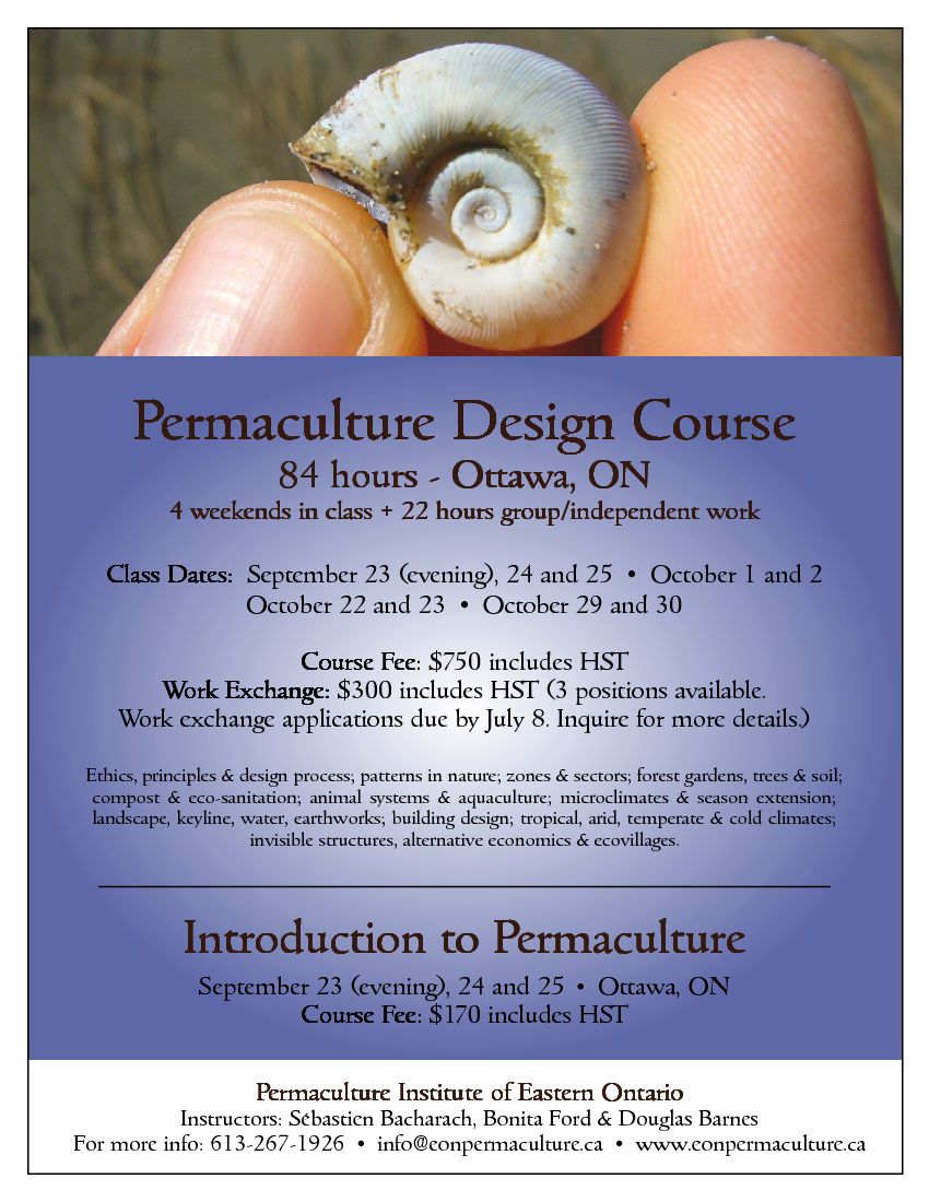 permaculture design course poster