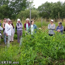 Nanabush Food Forests